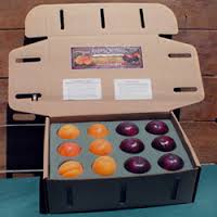 > </div>
<div class=